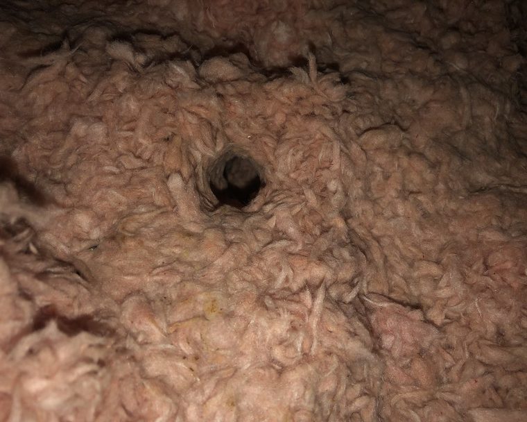 Attic Cleanup in East Nashville